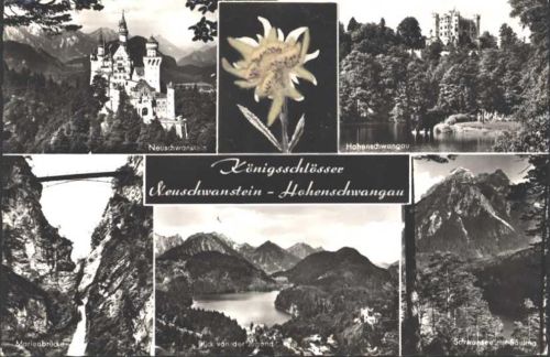 Neuschwanstein Echtes Edelweiß montiert auf AK mit Ansichten der Königsschlösser