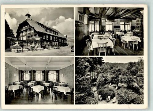 Schönwald Hotel Hirschen Gastraum Kamin Liegewiese Auto