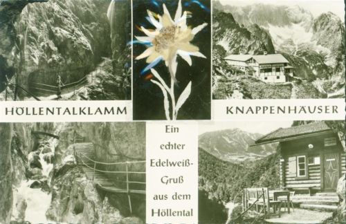 Höllental Aufgeklebtes echtes getrocknetes Edelweiß unter Schutzfolie Höllentalklamm Knappenhäuser