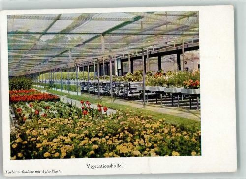 Mutterstadt Lanwirtschaftl. Versuchsanstalt Limburgerhof Vegetationshalle I.