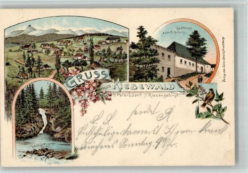 Petersdorf Piechowice 1900 BOAKC Gasthaus zur Erholung Kochelfall Kiesewald Lithographie