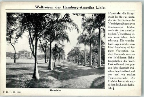 Honolulu Weltreisen der Hamburg Amerika Linie Hawaii Allee