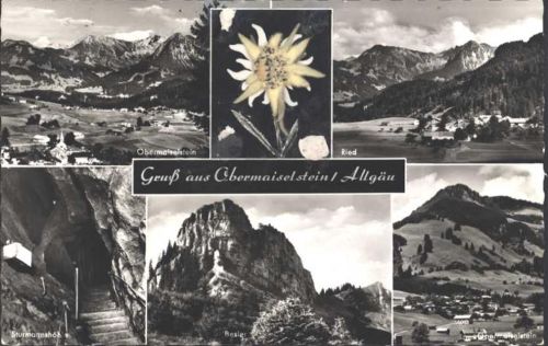 Obermaiselstein Echtes Edelweiß