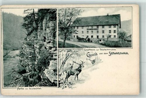 Wutach Gasthaus zur Wutachmühle Hirsch