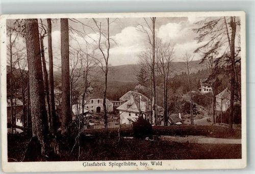 Spiegelhütte Glasfabrik bay. Wald