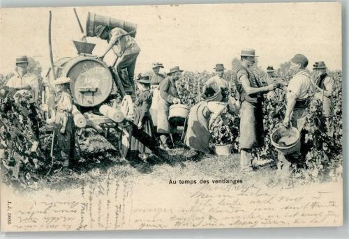 Montreux 1901 Wein- Lese