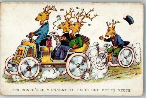 Hirsche Automobil Fahrrad