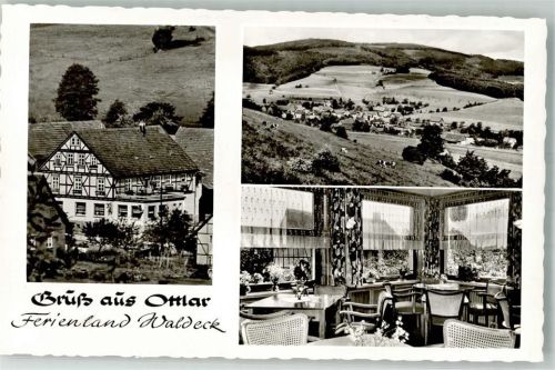 Ottlar Gasthaus Pension Ottonenhof Kühe