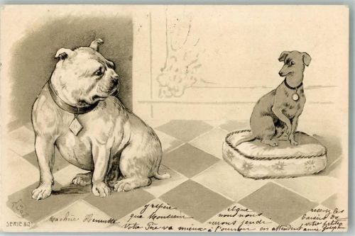 1901 Bulldogge Italienisches Windspiel Serie 8127