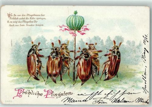 1901 Pfingstbaum Pfingsten Glückwunsch Tiere vermenschlicht