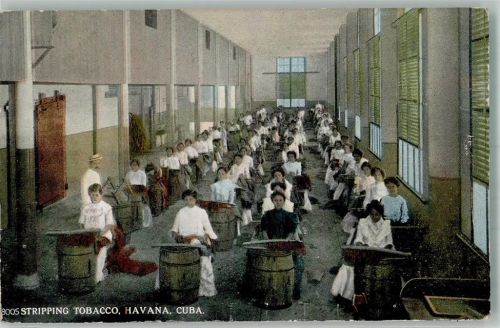 Havanna 1920 Fabrik Stripping Tobacco Frauen