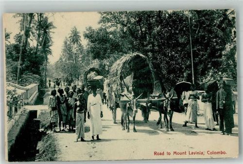 Colombo Tracht Ochsenkarren
