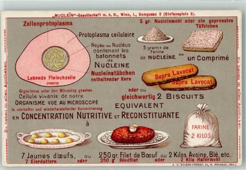Nuclein Gesellschaft Wien AK