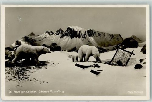 Leipzig Internationale Pelz- und Jagd- Ausstellung 1930 Nr 26 Halle der Nationen Dänische Ausstellung Eisbären Foto Bartholdt Sonderstempel