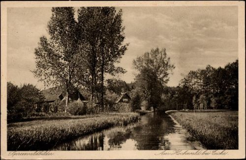 1928 Lübbenau, Am Hochwald bei Eiche, Spreewaldbilder,Artur Redecker AKU1