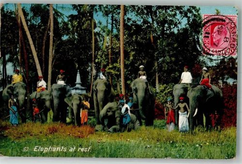 Colombo 1911 Tracht Elefanten Briefmarke Bildseeite