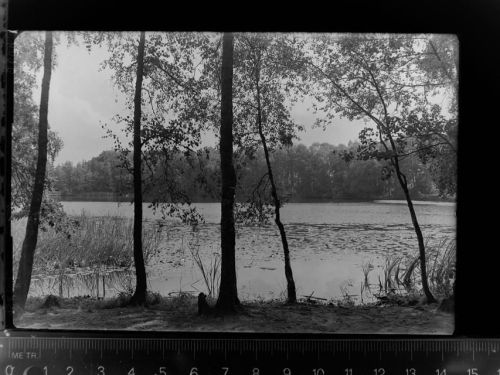 Quickborn Ellersee