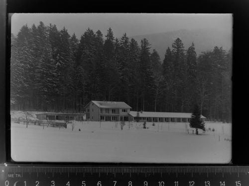 Zwiesel Winter-AK