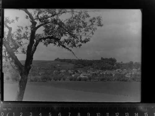 Rodenberg