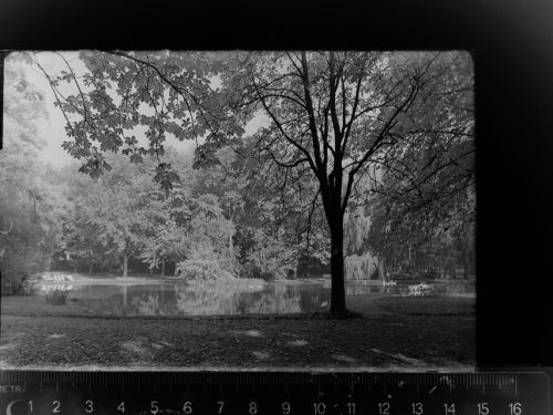 Bad Hersfeld Kurpark