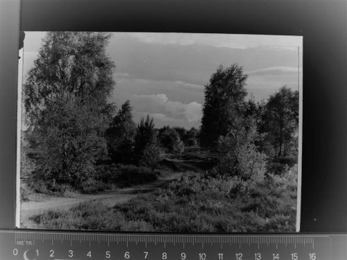Bad Bodenteich
