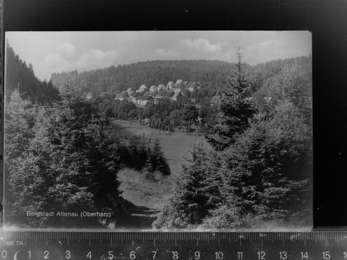 Altenau