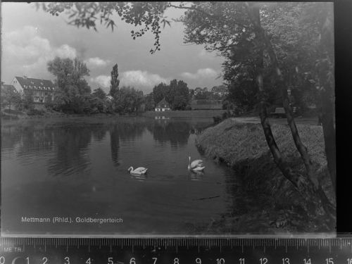 Mettmann Goldbergerteich