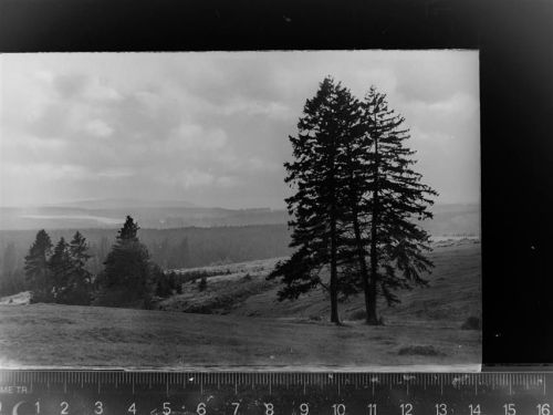 Braunlage