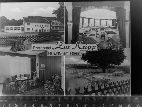 Rhens Rheinhotel zur Kripp