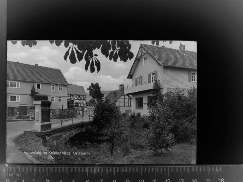 Appenfeld Ostspartie