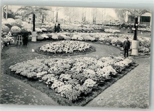 Gand Ausstellung Floralies Gantoises 1913 Leim löst sich