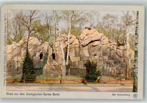Tiergarten 1907 Der Gemsenberg Rotophot