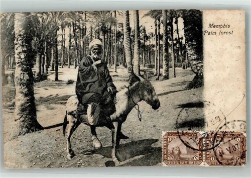 Memphis 1907 Esel Tracht Palm forest Marke bildseitig