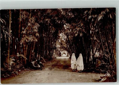 Alger 1928 Tracht Frauen jardin d´Essai