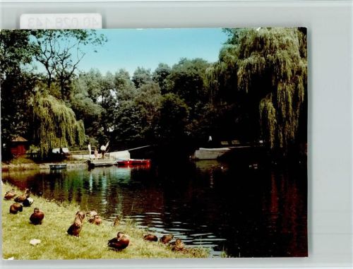 Sodingen Teich Stockenten