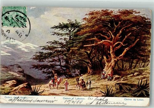 Beirut 1911 sign. Perlberg, f. Cedern des Libanon Tracht Marke bildseitig