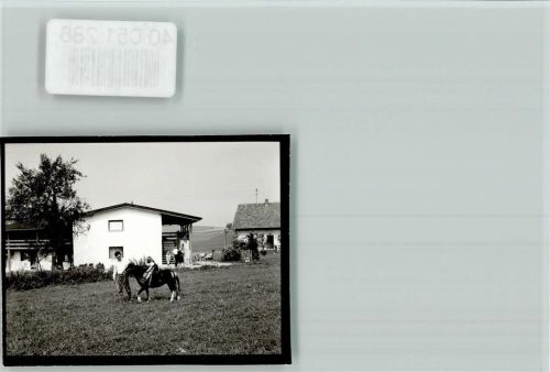 Warzenried Pension Böhmerwald Pony-Reitstunde