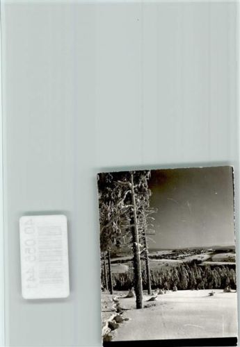 Hohegeiß Winteraufnahme