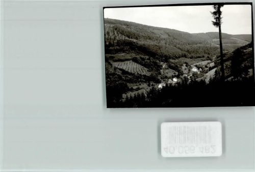 Waldkatzenbach Talblick