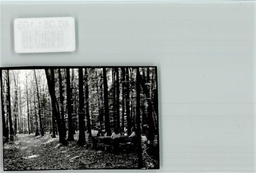 Greding Rastplatz im Wald