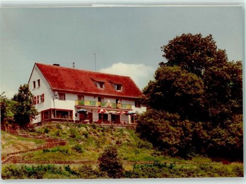 Langmühle Gaststätte Pension Zum Grafenfels