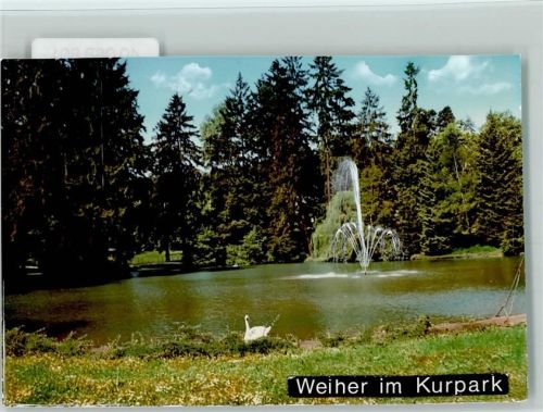 Bad Schwalbach Schwan im Weiher