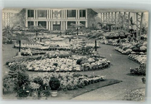 Gand Ausstellung Blumen 1913