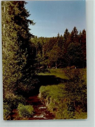 Springen Wispertal