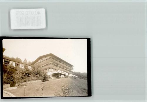 Bad König Forsthotel