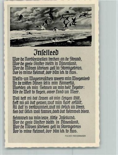 Friesenhagen Brandung Möwen Inselleed von Fischer