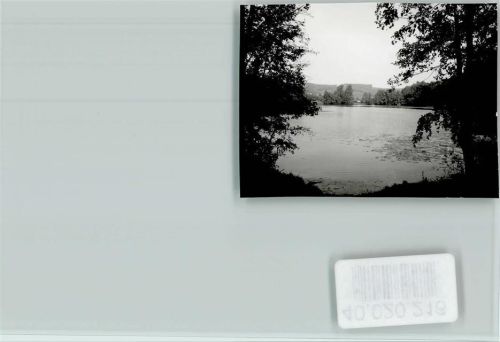 Volpriehausen See