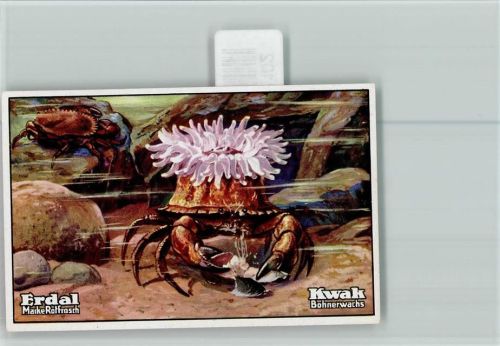 Erdal-Kwak Sammelbild Symbiose Taschenkrebs Seerose Symbiose Serie 77 Bild 1