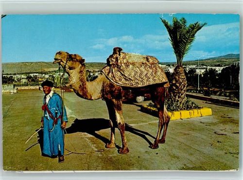 Nomade mit seinem Kamel 2 Karten kl. Fehler