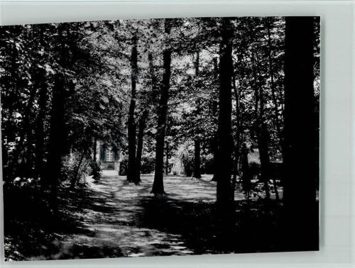 Hörste Foto Haus im Wald